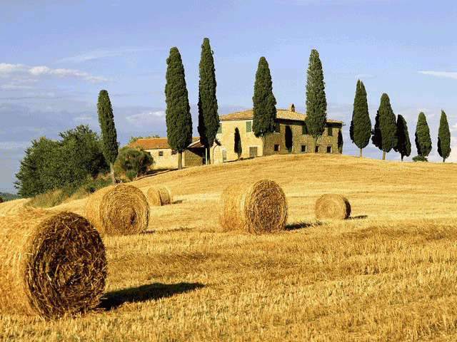 Gylden mark i Toscana, Italien - Kulturrejser